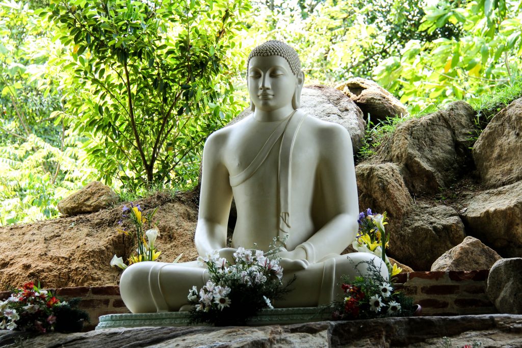 Sri Lanka – Perle im indischen Ozean