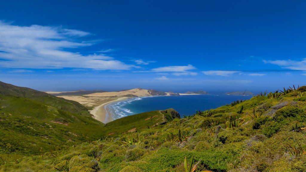 Kia Ora – Willkommen in Neuseeland