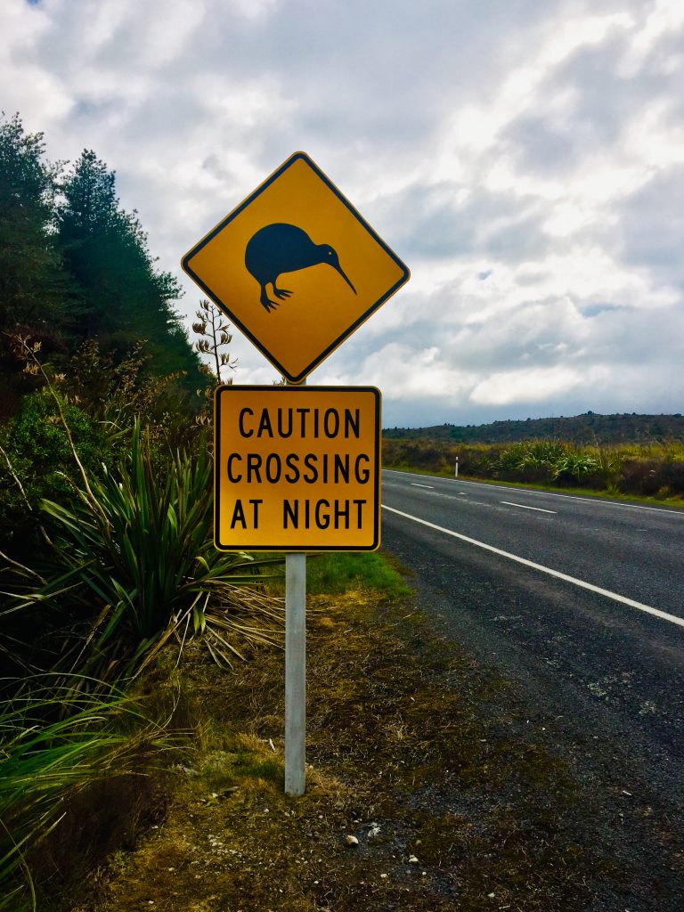 Nordinsel Neuseeland – Roadtrip von Wellington bis Auckland